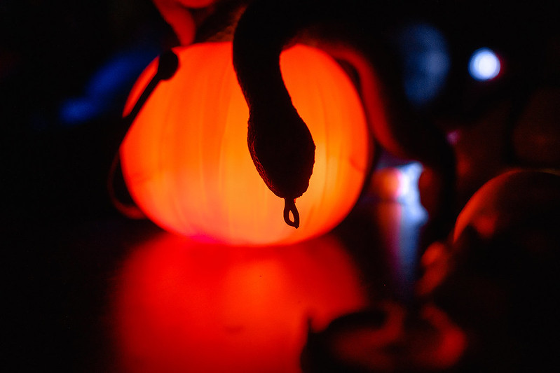 Украшение дома паутиной и летучими мышами к Хэллоуину в Tver